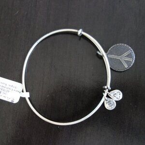 Alex and Ani ENERGY A07EB47RS Wire Bangle Single Russian Silver Expandable New